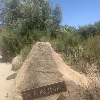 Fauna - Mexican Near Me - Guadalupe, BCN