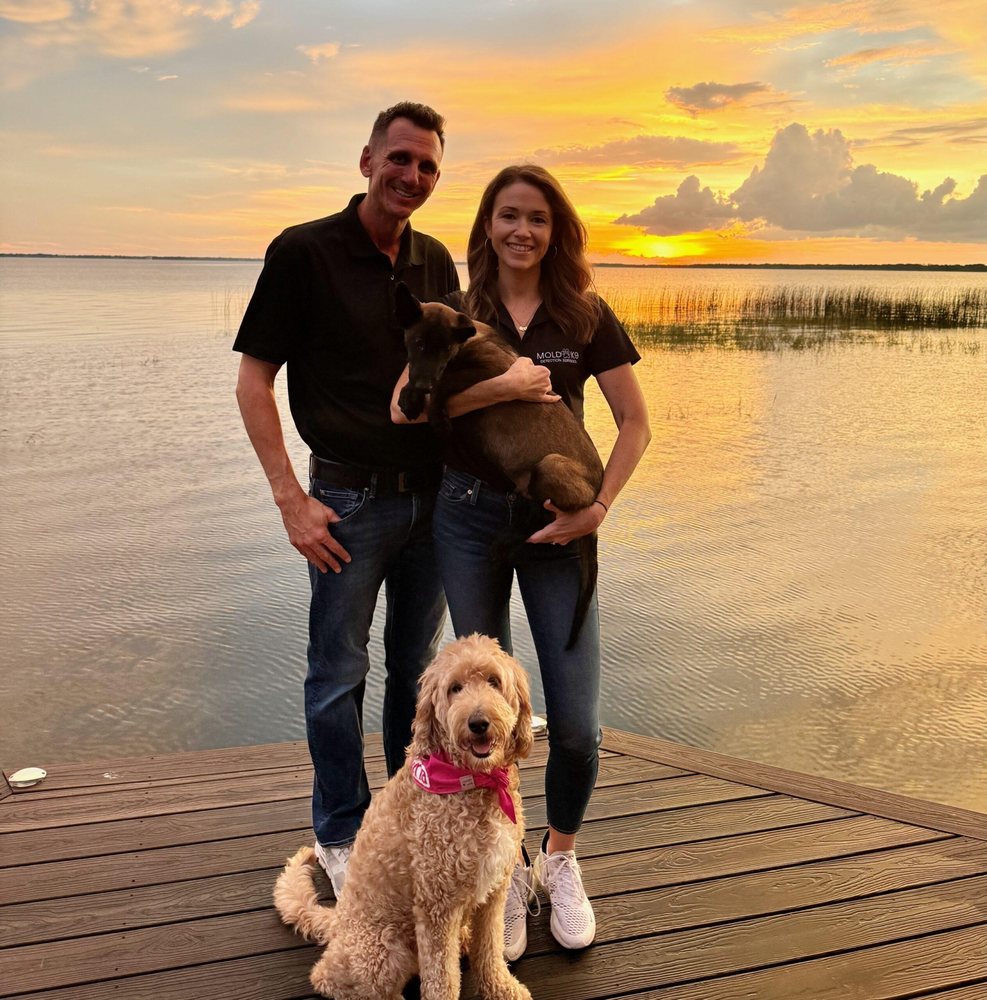 Mold K9 Detection Services - mold inspector in Geneva, FL