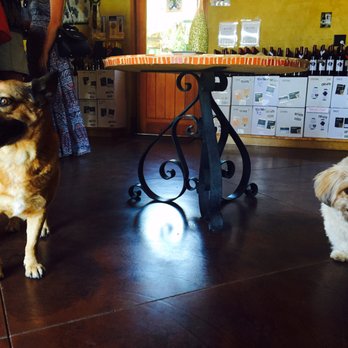 Hagafen Cellars - Cousin Gracie and I inside the tasting room. - Wineries Near Me - Napa, California