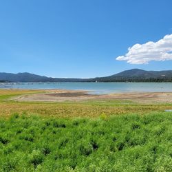 Ski Beach Park - Lake view