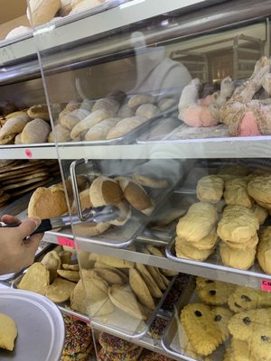 Abuelita Panaderia by null