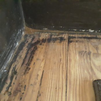 MG Cleaning LLC - Floor not edged sanded to remove the first stained mess - Home Cleaning Near Me