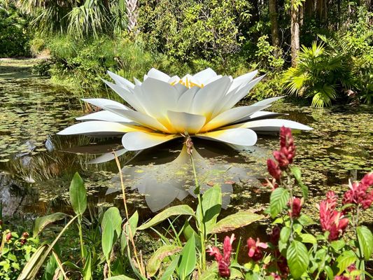 McKee Botanical Garden by null