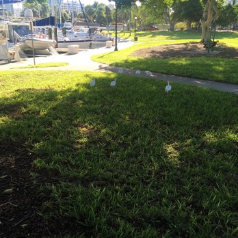 Bayfront Park and Marina - Ibis - Parks Near Me - Sarasota, Florida Bayfront Park and Marina - Ibis - Parks Near Me - Sarasota, Florida