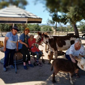 Seein' Spots Farm - Animal Shelters Near Me - Solvang, California Seein' Spots Farm - Animal Shelters Near Me - Solvang, California