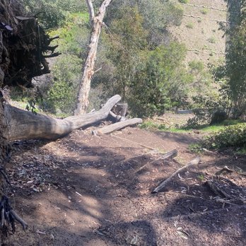 Maple Canyon Trail - Hiking Near Me - San Diego, California Maple Canyon Trail - Hiking Near Me - San Diego, California