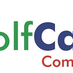 The Golf Cart Company
