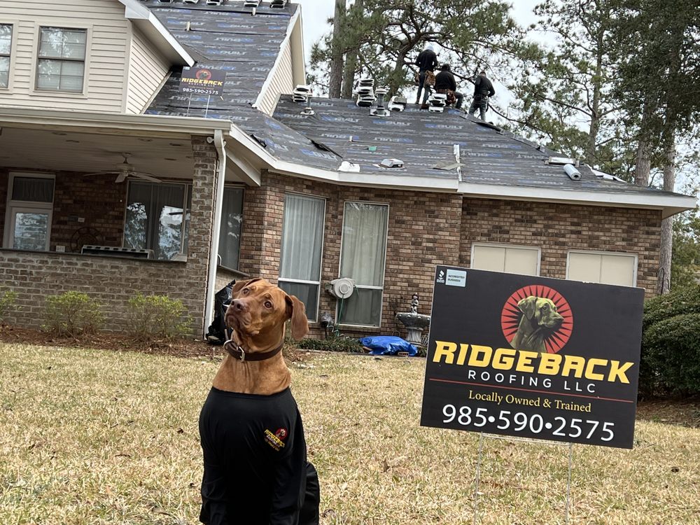 Slide of Ridgeback Roofing