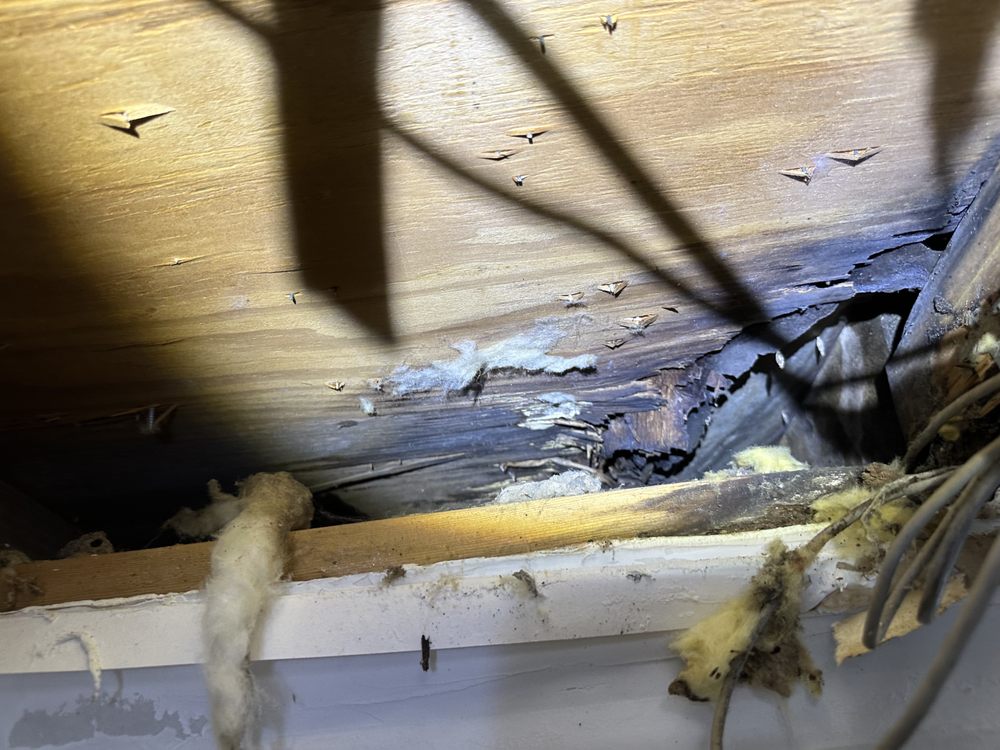 Slide of Wizard Roofing