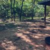 Loyd Park gift card
