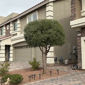 Nevada Tree Service - Tree Services Near Me - Las Vegas, Nevada