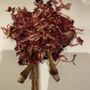 University & Schools Club