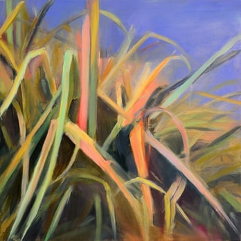 Oxtail Studio & Gallery - original oil painting by Laura Cincotta - Art Galleries Near Me - Berkeley, California Oxtail Studio & Gallery - original oil painting by Laura Cincotta - Art Galleries Near Me - Berkeley, California