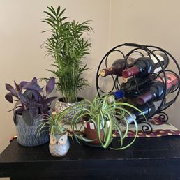 Great quality in my new plants from Grow Geneva