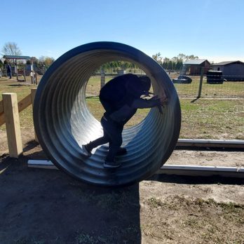 Piney Acres Farm - Giant hamster wheel - Christmas Trees Near Me - Fortville, Indiana Piney Acres Farm - Giant hamster wheel - Christmas Trees Near Me - Fortville, Indiana