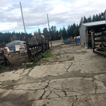 Legends Horse Training & Boarding Facility - Horseback Riding Near Me - Roy, Washington Legends Horse Training & Boarding Facility - Horseback Riding Near Me - Roy, Washington