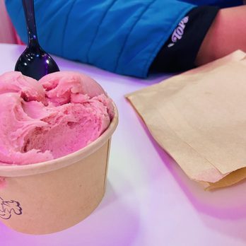 Cookies & Cream - RAspberry Sorbet - Desserts Near Me - Buffalo, New York