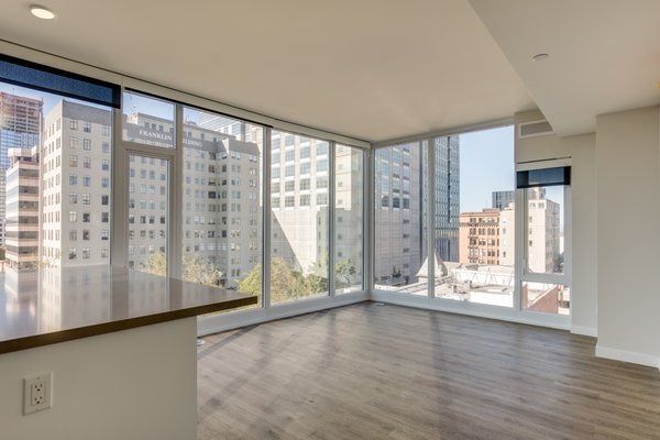 1717 Webster by null