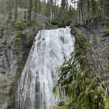 Evergreen Escapes - Christine Falls - Tours Near Me - Seattle, Washington Evergreen Escapes - Christine Falls - Tours Near Me - Seattle, Washington