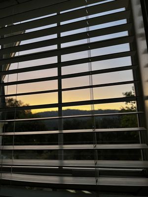 Hounds Tooth Inn by null