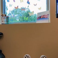 Mark C LeMonnier, DDS