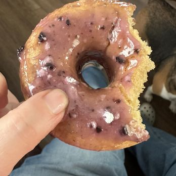 Parlor Doughnuts - Blueberry Hill V/G Friendly - Donuts Near Me - Jeffersonville, Indiana Parlor Doughnuts - Blueberry Hill V/G Friendly - Donuts Near Me - Jeffersonville, Indiana