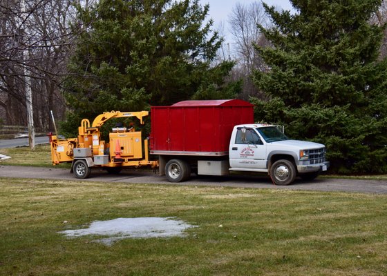 HUSTON’S TREE SERVICE - Updated January 2025 - 16 Photos - 15801 Oak