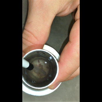 Village Oak Veterinary Hospital - nasty! a cup with filthy liquid where the multi-use thermometer is placed - Veterinarians Near Me - Modesto, California Village Oak Veterinary Hospital - nasty! a cup with filthy liquid where the multi-use thermometer is placed - Veterinarians Near Me - Modesto, California