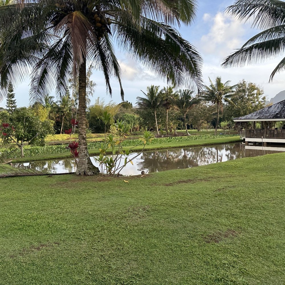 Luau Kalamaku - Estate - Buffets Near Me - Lihue, Hawaii