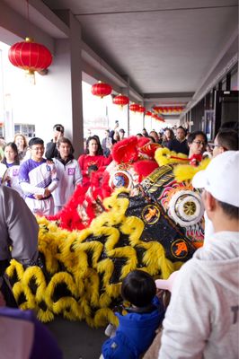 DFW China Town by null