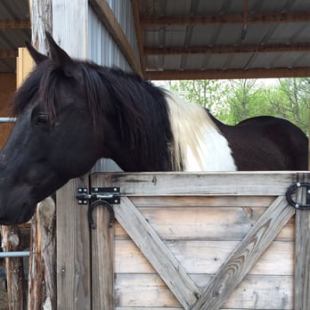 Rodeo Zone Mini Ranch - Party & Event Planning Near Me - Fort Worth, Texas Rodeo Zone Mini Ranch - Party & Event Planning Near Me - Fort Worth, Texas