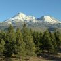 Mount Shasta