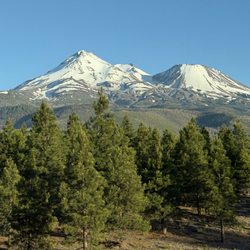 Mount Shasta - view of Mount Shasta from the 97 looking south