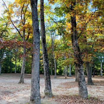 Goddard Memorial State Park - Trees - Beaches Near Me - Warwick, Rhode Island
