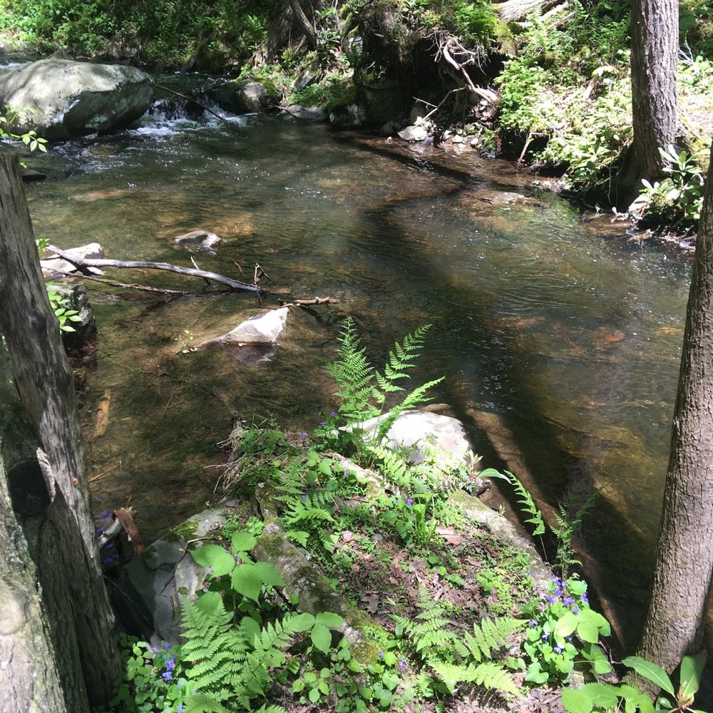 Bushkill Falls - Trail - Tours Near Me - Bushkill, Pennsylvania Bushkill Falls - Trail - Tours Near Me - Bushkill, Pennsylvania
