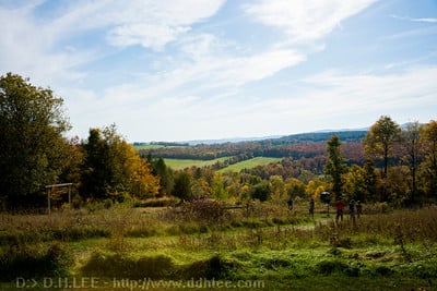 Great Vermont Corn Maze by null