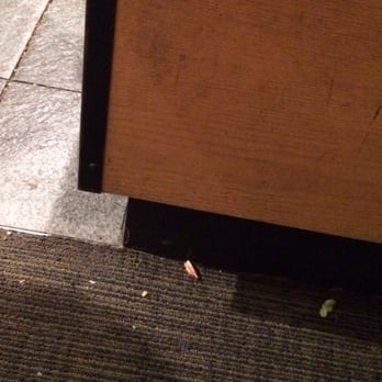 Benihana - Cleveland - Shrimp tails and trash everywhere. It was here when we came in for lunch. Was it here all night? - Sushi Bars Near Me - Cleveland, Ohio