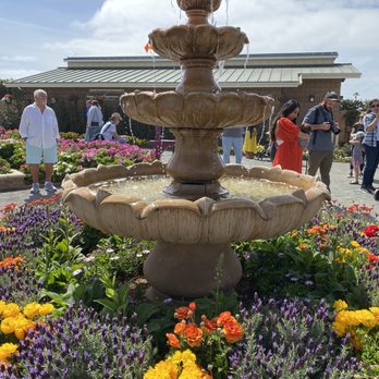 The Flower Fields - Venues & Event Spaces Near Me - Carlsbad, California The Flower Fields - Venues & Event Spaces Near Me - Carlsbad, California