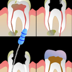 The Dental Center Of Eagan