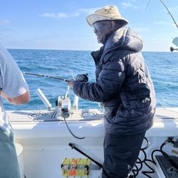 Migrator Charters
