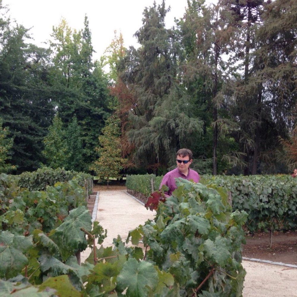 Concha y Toro - A fine gentleman. - Wineries Near Me - Pirque, RM Concha y Toro - A fine gentleman. - Wineries Near Me - Pirque, RM
