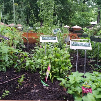 Potter Park Zoo - Herb garden - Zoos Near Me - Lansing, Michigan Potter Park Zoo - Herb garden - Zoos Near Me - Lansing, Michigan