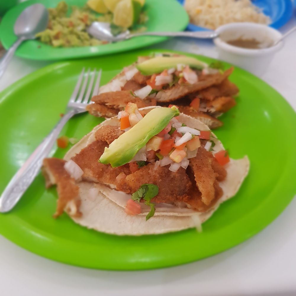 El Dorado Cockteleria - Fish tacos - Seafood Near Me - Tulum, ROO El Dorado Cockteleria - Fish tacos - Seafood Near Me - Tulum, ROO