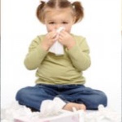 Super Steamers Carpet Cleaners - Carpeting & Furniture trap Pet Dander & Dust Mites Contributing to Allergy Symptoms!