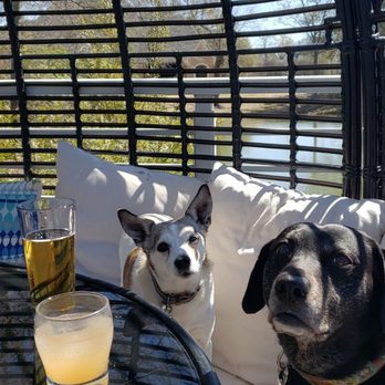 Javi's - Patio with the pups! - Mexican Near Me - Tyler, Texas