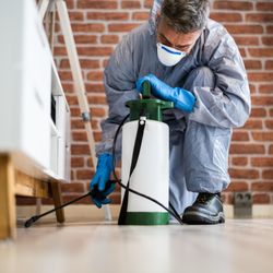 Divine Pest Specialists - Divine Pest Specialists is proud to help homeowners with our safe and effective pest and wildlife solutions...