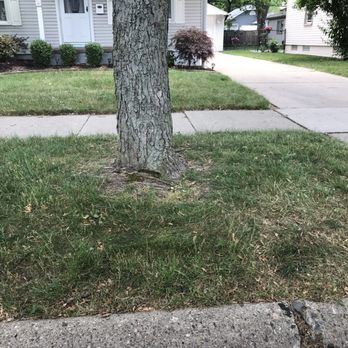 Burly Guys Junk Removal - After - Junk Removal & Hauling Near Me - Waterford, Michigan Burly Guys Junk Removal - After - Junk Removal & Hauling Near Me - Waterford, Michigan