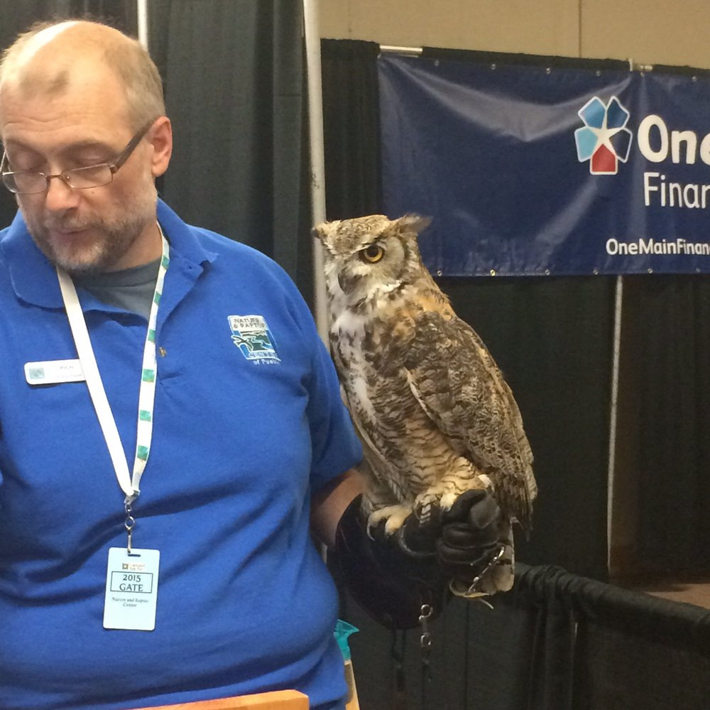 Colorado State Fair & Exposition - Raptor Centre - Festivals Near Me - Pueblo, Colorado