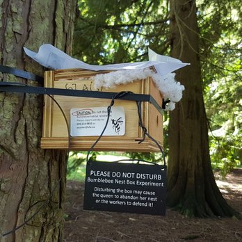Burnaby Mountain Trail - Hiking Near Me - Burnaby, British Columbia
