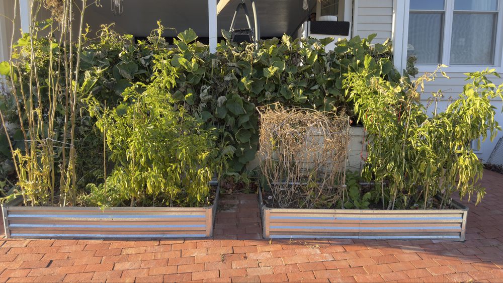 Tiny Hearts Day Care - childcare center in Alexandria, VA